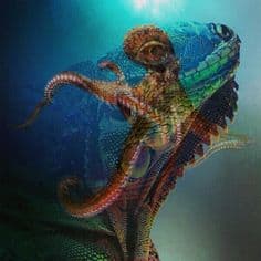 Lizard Spirit Animal